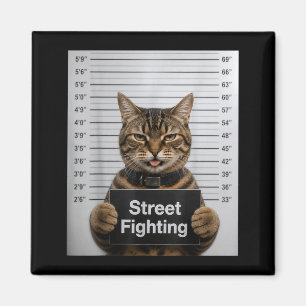 Aimant Combat de rue humour de chat drôle pour chaton ani