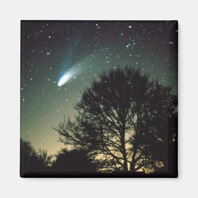 Aimant Comet Hale-Bopp et Arbre (Devant)