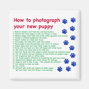 Aimant Comment photographier votre nouveau chiot