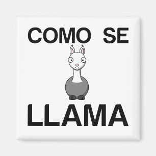 AIMANT COMO SE LAMA