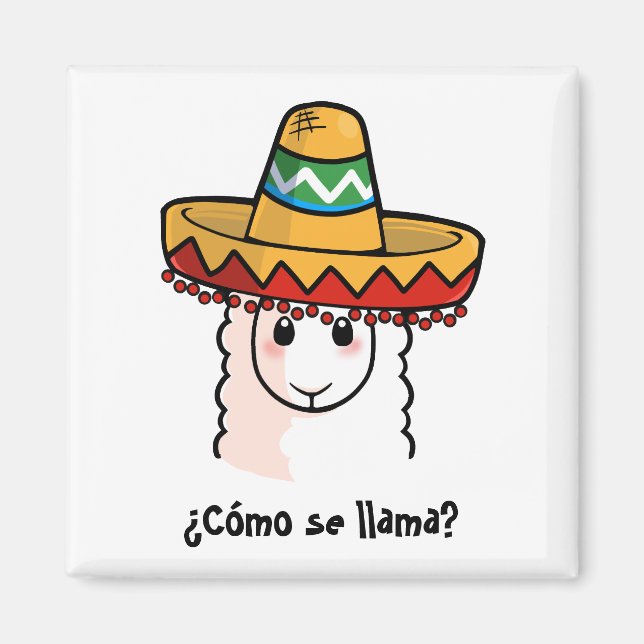 Aimant ¿Como se llama ? (Devant)