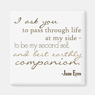 Aimant Compagnon terrestre