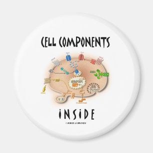 Aimant Composants de cellules à l'intérieur