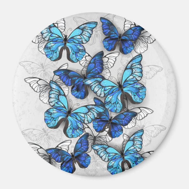 Aimant Composition des White and Blue Butterflies (Devant)