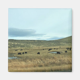 Aimant Comté Rural de Baker, Oregon