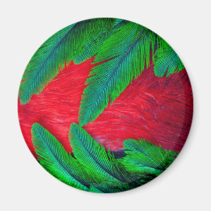 Aimant Conception de plume de Quetzal resplendissant