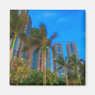 Aimant Condominiums de luxe en Chine