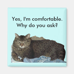 Aimant Confortable sur l'aimant de chat de blanchisserie