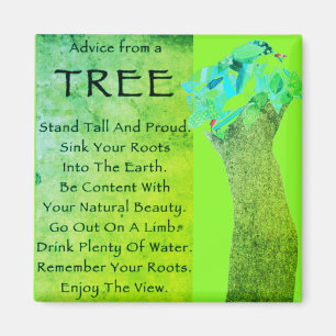 Aimant Conseil d'un arbre