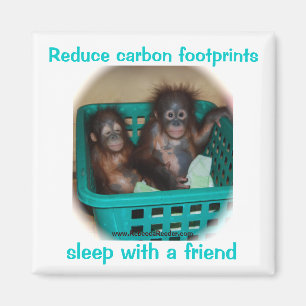 Aimant Conseil Humoristique De Conservation