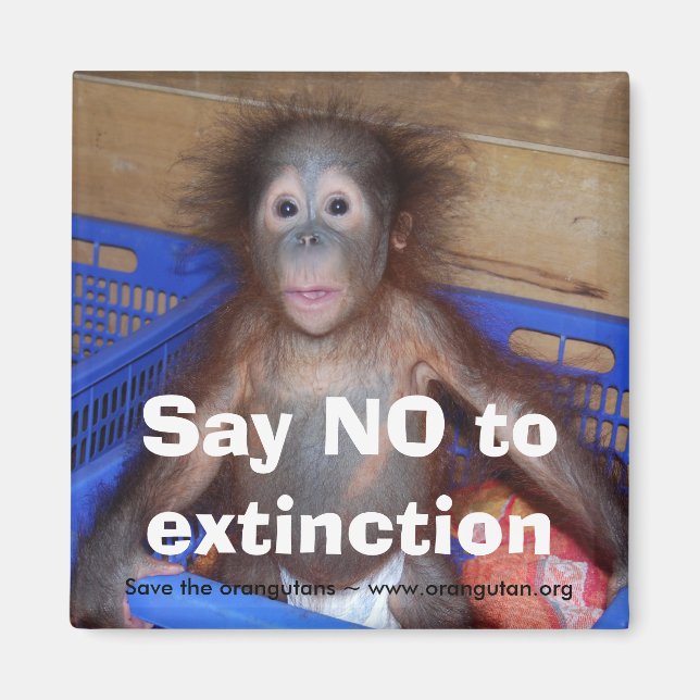 Aimant Conservation des Orangoutans (Devant)