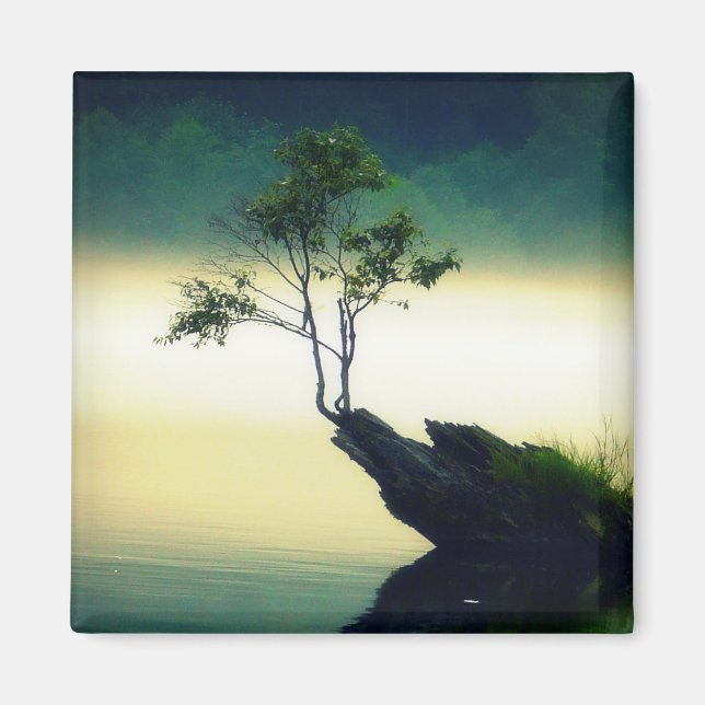 Aimant Contre tous les obstacles - Belle photo d'arbre (Devant)
