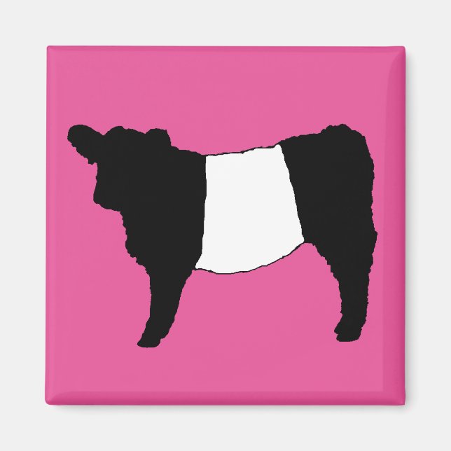 Aimant Cool Belge Galloway Cattle Rare Cow Beltie Steer (Devant)