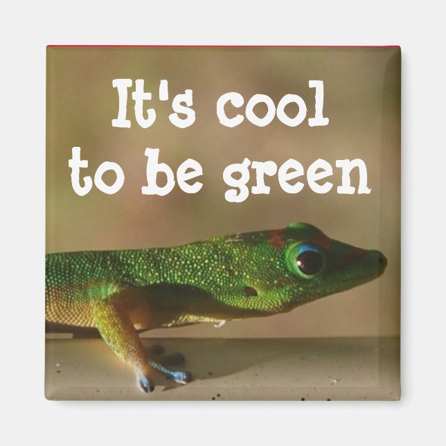 Aimant Cool Green Gecko (Devant)