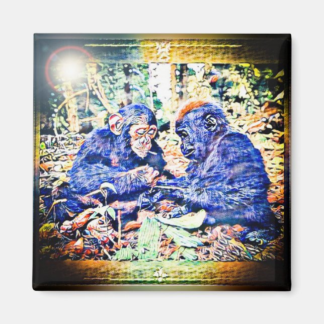 Aimant Coopération Chimp & Gorilla 01 (Devant)