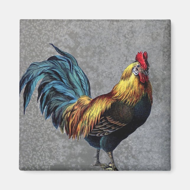Aimant Coq Bantam coloré (Devant)