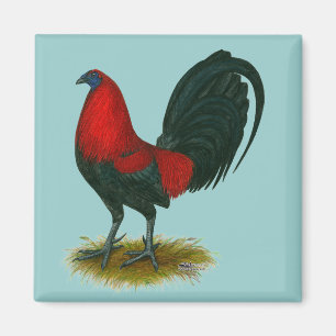 Aimant Coq de combat américain : Brun Rouge