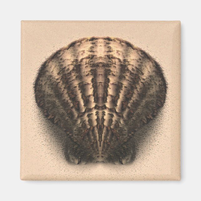 Aimant coque (Devant)