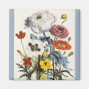 Aimant Coquelicots anciens dans le jardin, fleurs victori