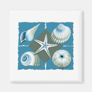 Aimant Coques de mer bleu et vert