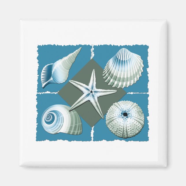 Aimant Coques de mer bleu et vert (Devant)