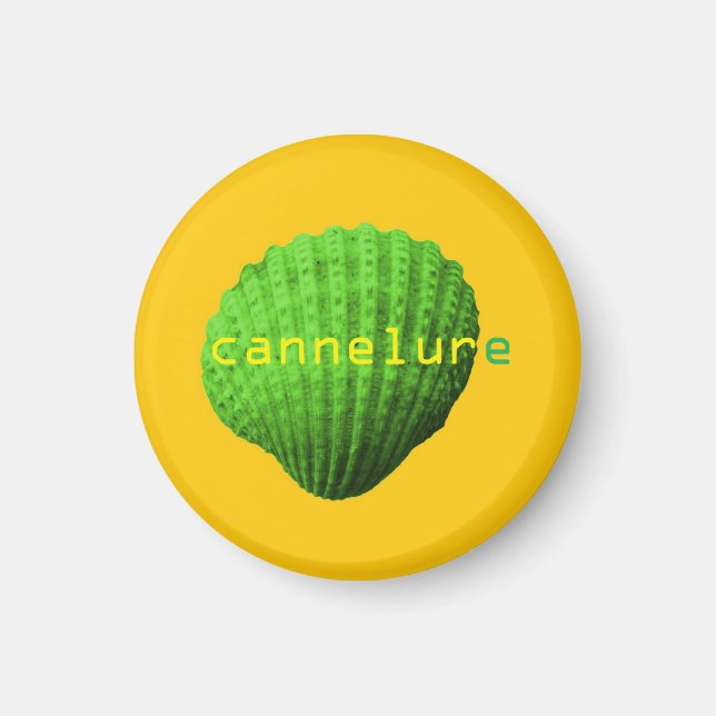 Aimant coquillage cannelure (Devant)