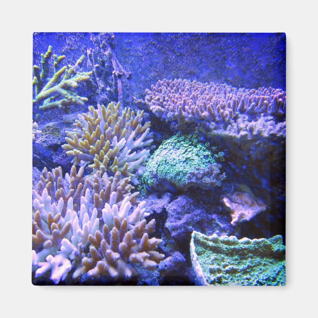 Aimant Corail récif tropical Caraïbes bleu vert pourpre (Devant)