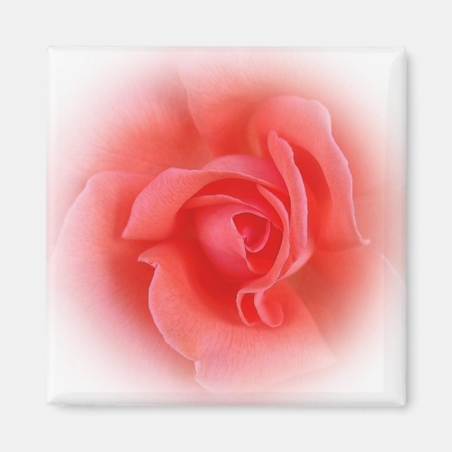Aimant corail rose rose (Devant)