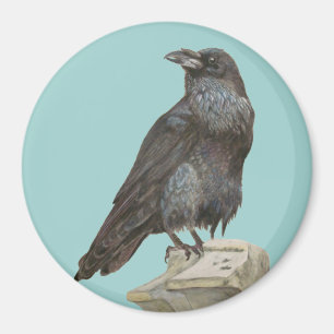 Aimant Corbeau
