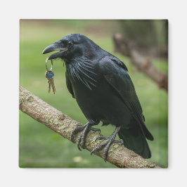 Aimant Corbeau sur une branche avec clé