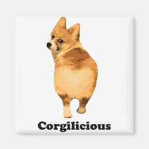 Corgile