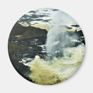 Aimant Corne pondeuse, Cap Perpetua, Côte de l'Oregon