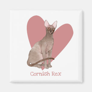 Aimant Cornouailles Rex Chat Aquarelle Kitty Coeur rose