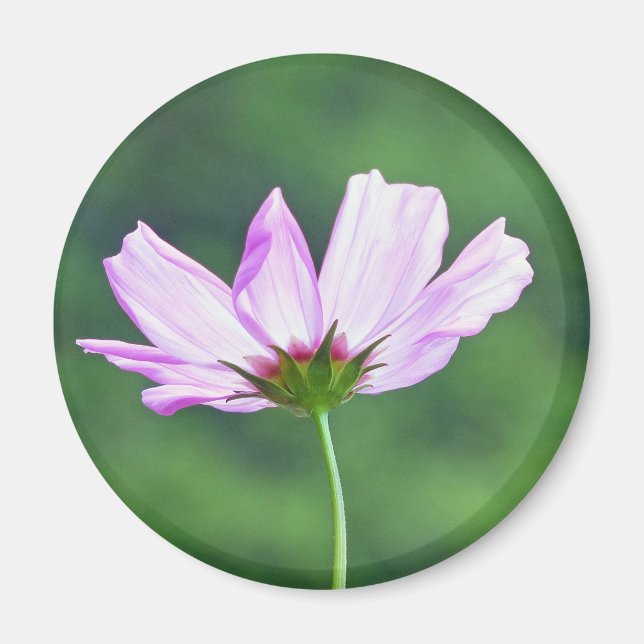 Aimant Cosmos (Devant)