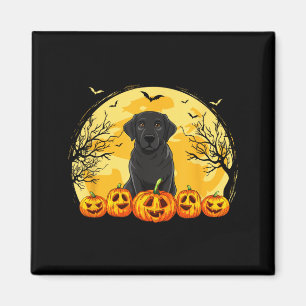 Aimant Costume d'Halloween citrouilles chien Labrador noi
