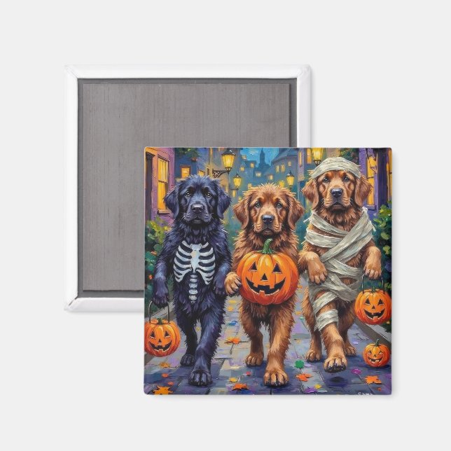 Aimant Costumes d'Halloween de Terre-Neuve-et-Labrador (Recto/Verso)