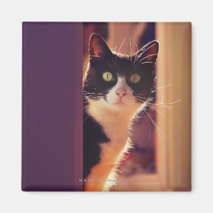 Aimant côte de benalamadena, Malaga, la Costa del Sol,