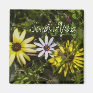 Aimant Côte Ouest Afrique du Sud Fleur sauvage ZA
