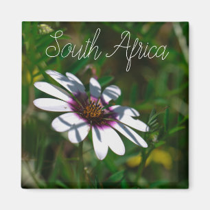 Aimant Côte Ouest Afrique du Sud Fleur sauvage ZA