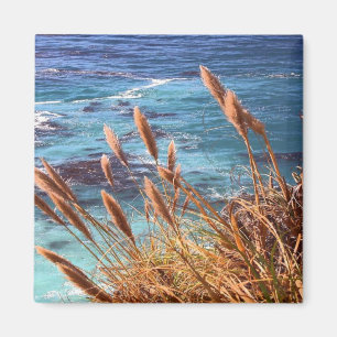 Aimant côtier californien