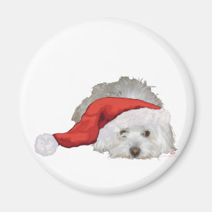 Aimant Coton de Tulear - En attente