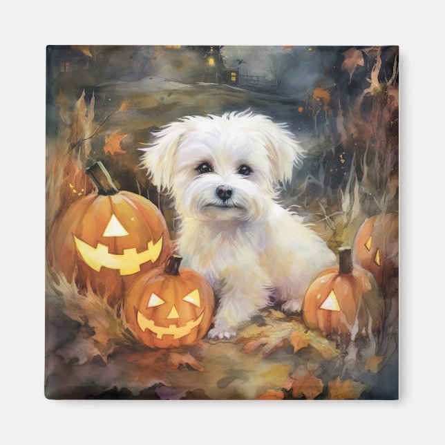 Aimant Coton De Tulear Halloween Avec Peur Citrouille (Devant)