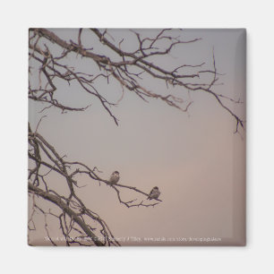Aimant Coucher de soleil avec les grikes