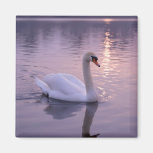 Aimant Coucher de soleil élégant avec cygne