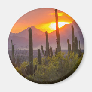 Aimant Coucher de soleil sur cactus du désert, Arizona