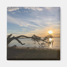 Aimant Coucher de soleil sur East Bay