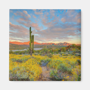 Aimant Coucher de soleil sur paysage désertique