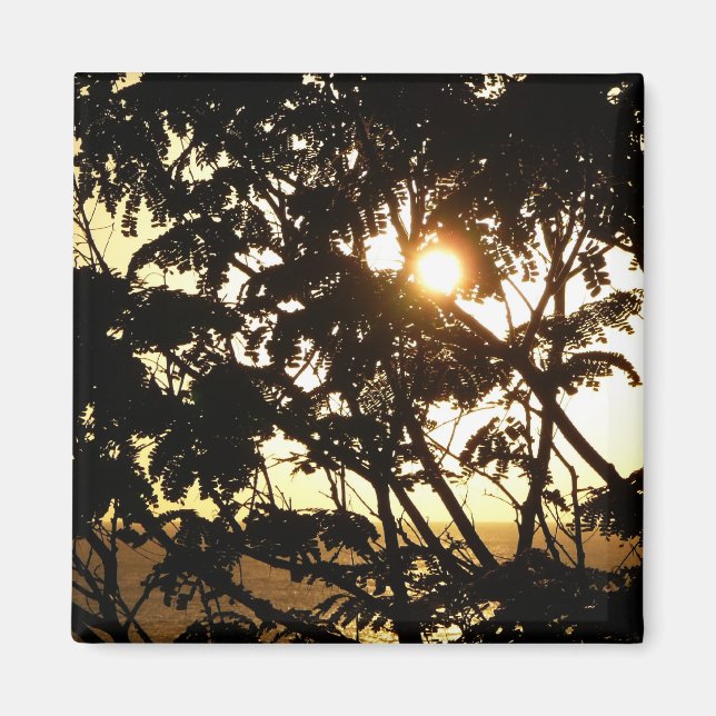 Aimant Coucher du soleil à travers les arbres I Photograp (Devant)