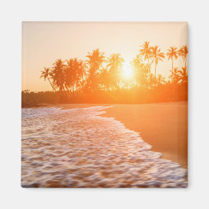 Aimant Coucher du soleil sur la plage avec des cocotiers