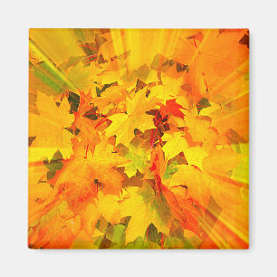Aimant Couleur des feuilles automnales Couleurs automnale